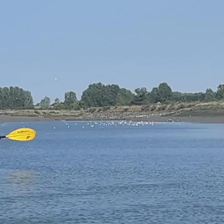 Maison En Bord De Riviere De 别墅 Le Fenouiller