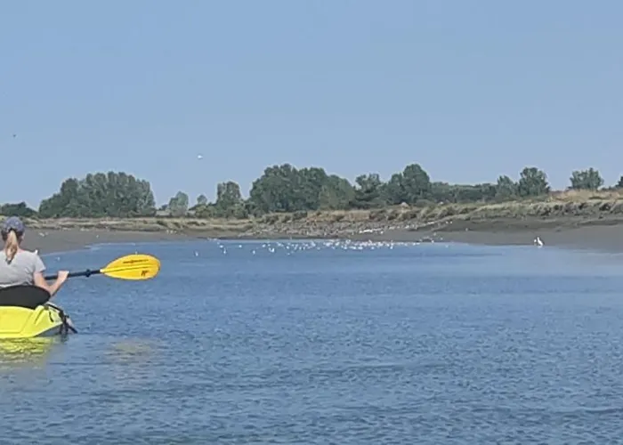 Maison En Bord De Riviere De فيلة Le Fenouiller